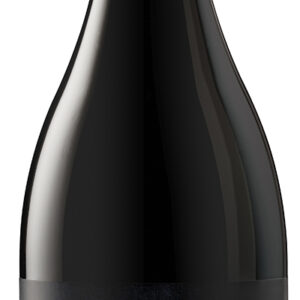 018-SKYWALKER-Pinot-Noir-Silo copie Skywalker Pinot Noir