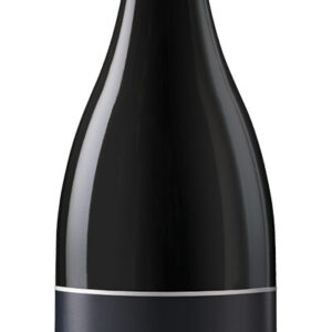 019-SKYWALKER Sommita Pinot Noir Silo copie Sommità Pinot Noir